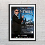 Pitbull 2010